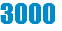 3000